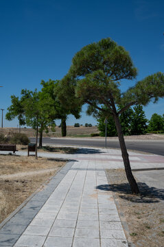 PARQUE NELSON MANDELA MOSTOLES, MADRID