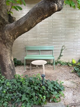 bench in the garden