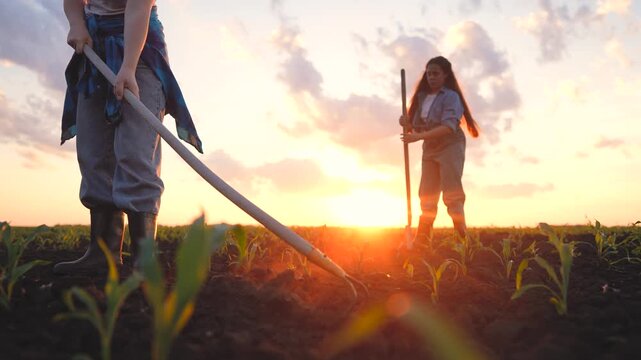 A girl digs in the earth while a man holds a tool in a field. The girl and man work together, cultivating plants as the sun sets over the field.