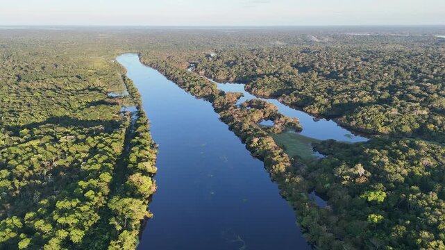 Breathtaking drone footage following a wide blue river winding through the dense tropical Amazon rainforest in Brazil.