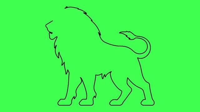 Minimalist continuous line lion drawing animation appearing and disappearing on green screen.