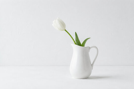 White ceramic milk pitcher with single tulip on white tabletop, minimalism and purity concept