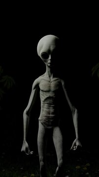 Tall alien figure standing in darkness with subtle organic lighting, surreal vertical reel exploring extraterrestrial presence, eerie sci fi atmosphere and cinematic otherworldly storytelling
