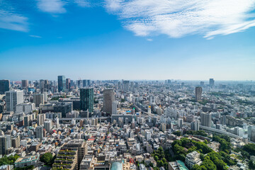 Fototapeta premium Aerial view of dense Tokyo cityscape and skyline with blue sky, Japan