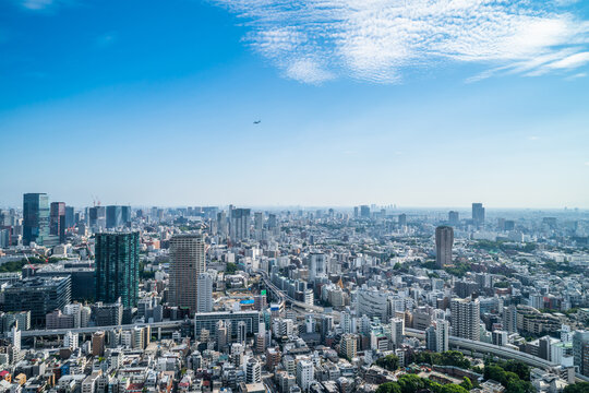 Aerial view of dense Tokyo cityscape and skyline with blue sky, Japan