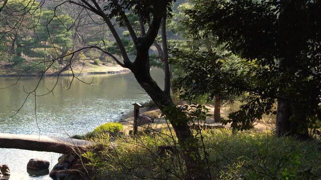 Senior Couple Walking Across Stone Bridge in Japanese Garden