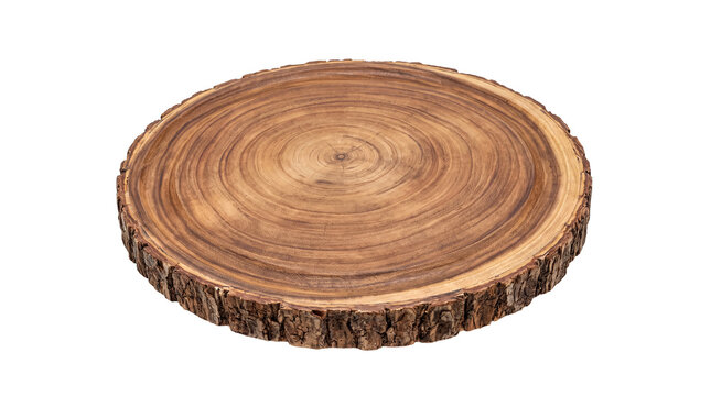 Light-toned round wooden slice, showcasing prominent growth rings and natural bark.