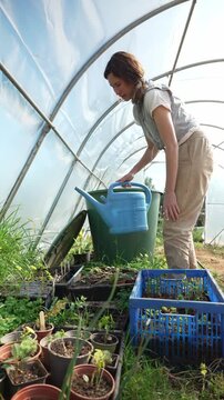 Female farmer watering plant seedlings in greenhouse