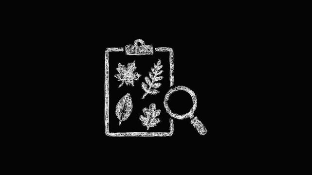 Sketch leaf collection icon animation - smooth progressive reveal