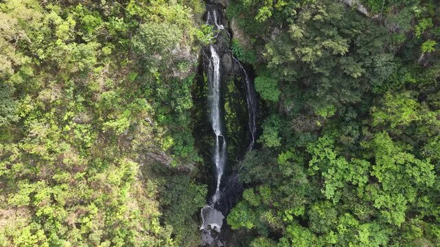 April 19 2026  Pak Shui Wun Forest Waterfall