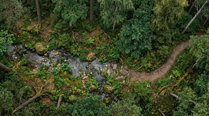 Obraz premium Aerial view of a lush green forest featuring a rocky stream and a winding dirt hiking path in summer