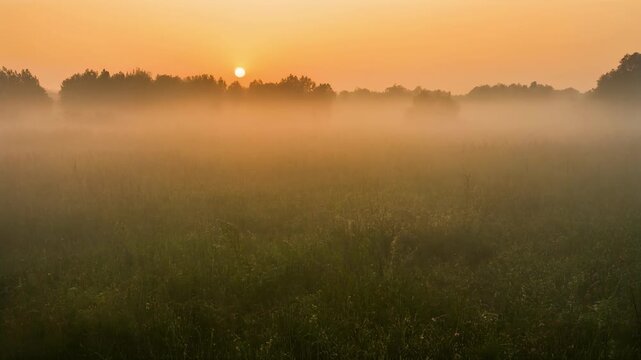 Light haze over open meadow at sunrise