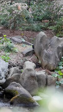 Serene Waterfall in a Tokyo Zen Garden