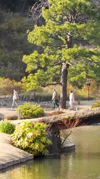 Tourists Walking Across Traditional Wooden Bridge in Tokyo Garden