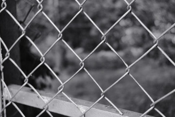 Close up of a metal chain link fence with a blurred green nature background. Concept of boundary, restricted area, privacy and security. Shallow depth of field with soft summer bokeh. © Taras