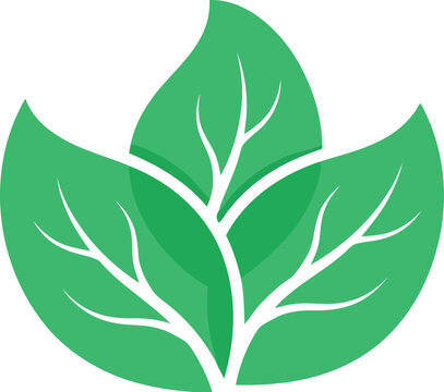 Simple green leaf icon with white veins showing a natural organic plant symbol for eco friendly and sustainable branding design elements for web and print graphics