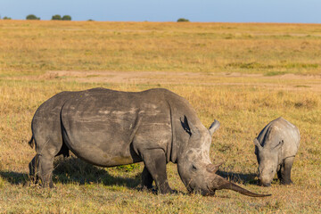 Afrika © Thomas