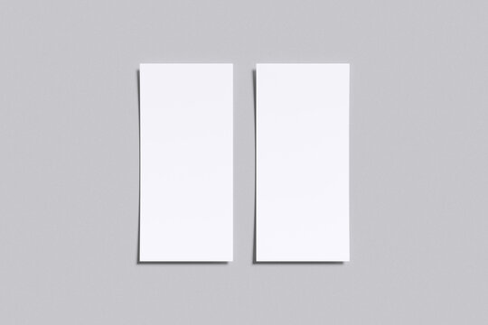 Realistic DL Flayer Blank