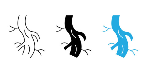 Obraz premium Human artery icon black white vector outline