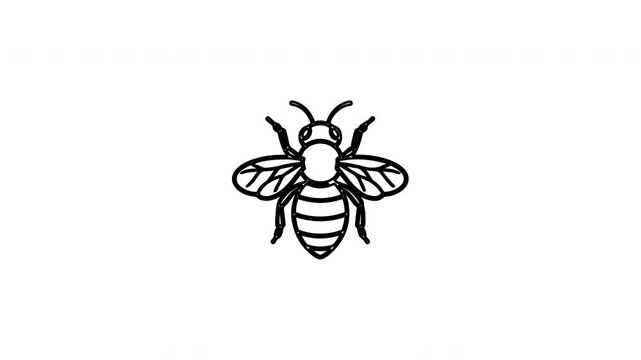 Set of minimalist honeybee line art icons on white background
