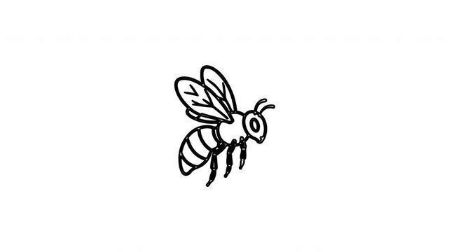 Hand drawn honey bee line art sketches on white background