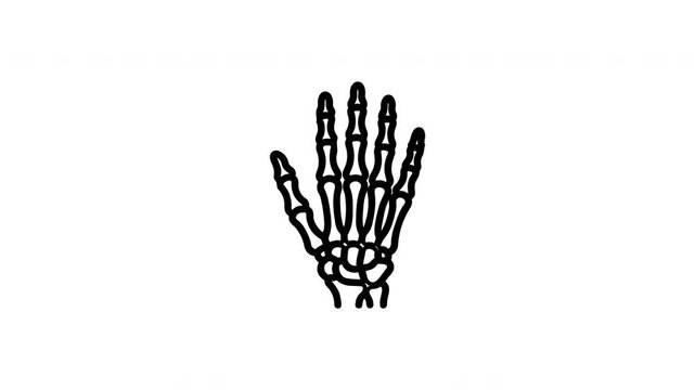 Human hand skeleton line art icons on white background