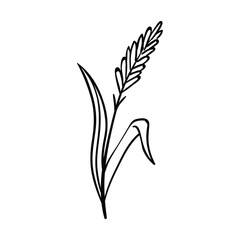 Fototapeta premium Hand drawn plant illustration on a white background, featuring a simple organic design and offering a clean graphic element for various design projects
