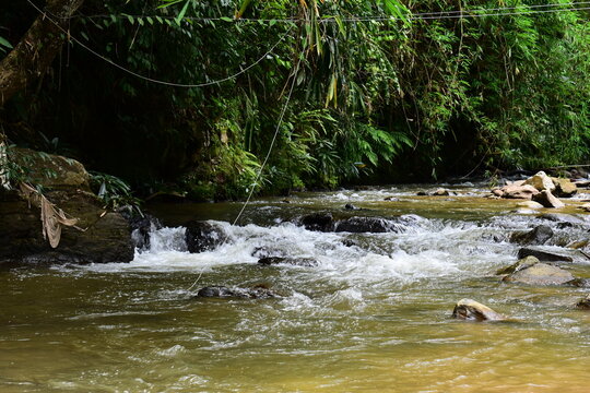 a clear shallow river stream flowing over rock in a lush tropical forest