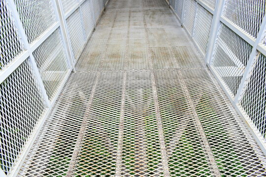 steel mesh canopy walk bridge walkway extending into green jungle