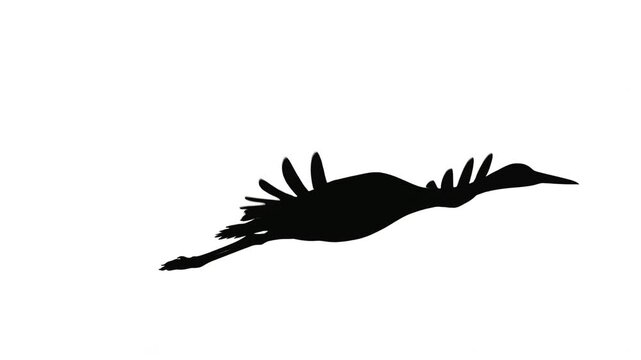 Crane flying in silhouette motion against white background graceful bird soaring in sky.