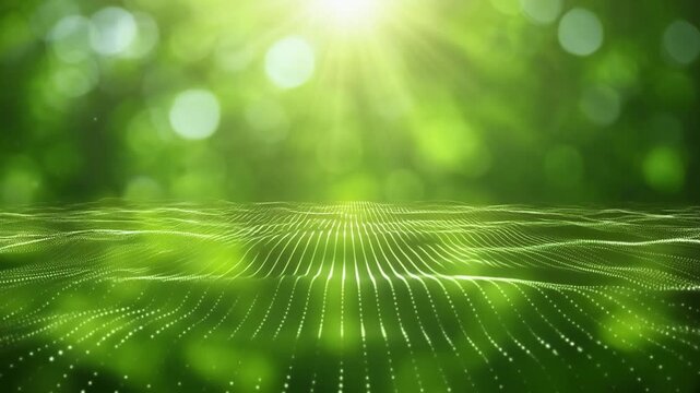 Lush green forest canopy with sunbeams filtering through leaves and digital wave pattern background