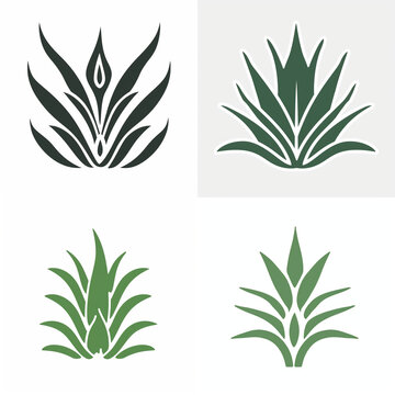 Set of four agave plant icons and succulent leaf vector illustrations for logo design
