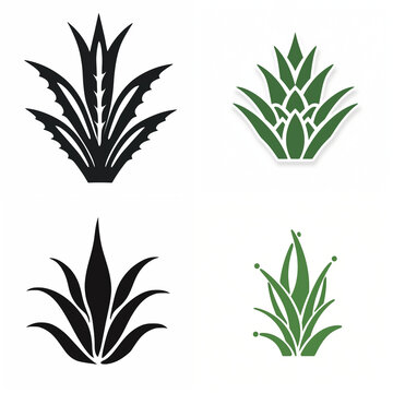 Set of agave and succulent plant icons, vector illustrations of desert flora symbols.