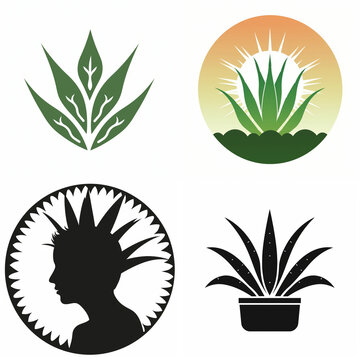 Set of aloe vera plant icons and stylized human silhouette logo design elements.