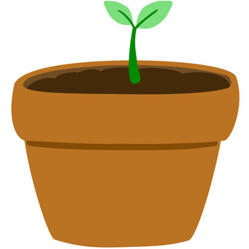 A small green seedling grows from rich brown soil inside a simple terracotta pot, symbolizing nature, growth, renewal, gardening, and the hopeful beginning of a healthy plant journey toward life.