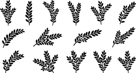 Fototapeta premium Black Botanical Branch Collection with Elegant Leaf Sprigs, Foliage Stems and Decorative Nature Elements for Minimalist Vintage Vector Design