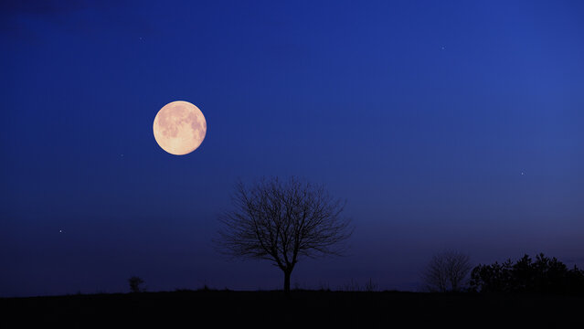 Full Moon, stars and planets above landscape silhouettes.