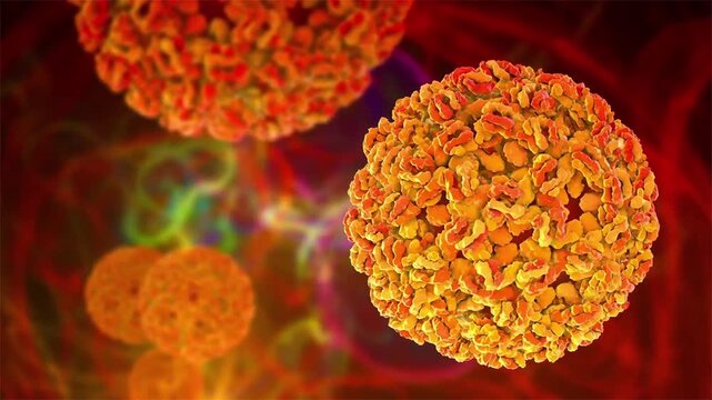 Ross River virus particles, 3D animation illustrating mosquito-borne viral infection causing epidemic polyarthritis with fever, rash and prolonged joint pain, common in Australia.