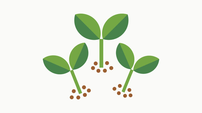 Three Green Sprouting Plant Seedlings Growing from Seeds with Roots Representing Ecology and Growth