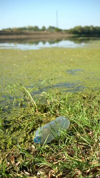 Plastic water bottle littering a muddy, algae-filled water bank. Concept of water pollution, plastic waste impact on natural aquatic ecosystems, 4K vertical shot.