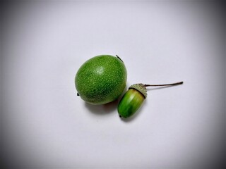 kiwi fruit on a fork © Roman