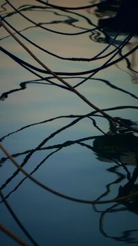 Abstract vertical shot of boat ropes and rigging crisscrossing over calm water with distorted wavy reflections at dusk. Artistic nautical background with dark fluid lines. 4K.