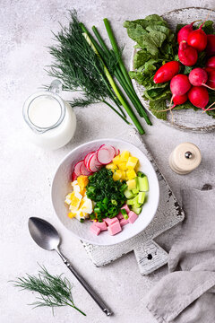 Ingredients for okroshka summer cold soup with radish and ayran