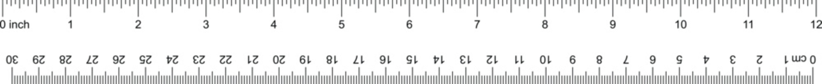 A ruler showing both imperial inches and metric centimeters scales isolated on white background