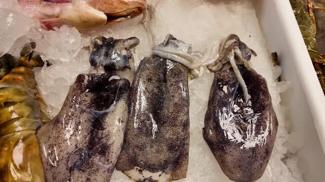 Fresh seafood including whole fish, squid and prawns displayed on crushed ice at a local seafood market in Thailand. Close-up view of raw seafood and traditional Thai market food culture. 4K footage.