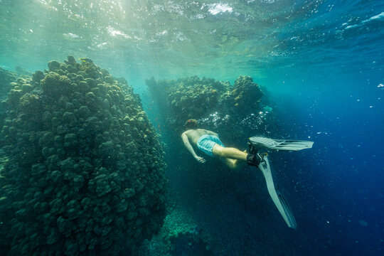 Snorkeler Swimming Near Coral Reef Underwater