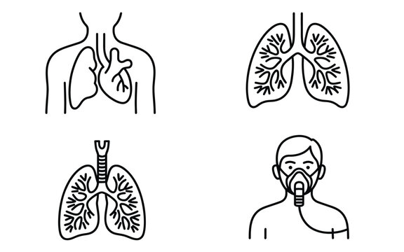 Human respiratory system line icon set featuring lungs chest organ heart trachea bronchial tree patient oxygen breathing mask symbol
