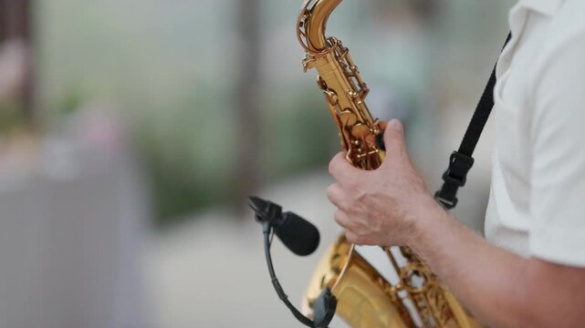 Professional musician playing golden alto saxophone