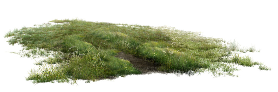 green grass isolated on white/High-detail realistic green grass patch with wild plants and dirt path isolated on white background, perfect for architecture visualization 