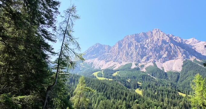 Scenic view of Zugspitze through alpine forest in summer